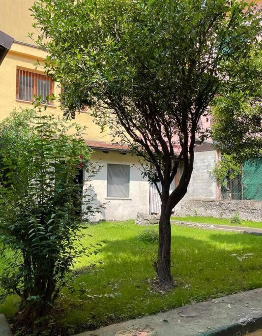 Il Giardino Nascosto Daire Omegna Dış mekan fotoğraf